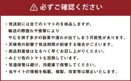 カラフルミニトマト 約1kg トマト 高森町産