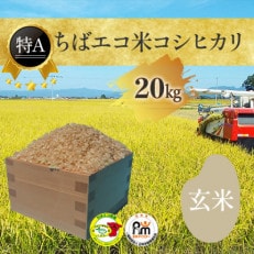 千葉県産「エコ米コシヒカリ」玄米　20kg×1袋