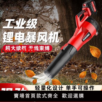 【台灣公司 超低價】德國大功率工業級鋰電暴風機吹風機充電鼓風機吹灰槍除塵器吹雪機