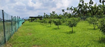 「田園渡假親友毛孩樂園｜四套房平房農舍」｜屏東縣潮州鎮興美