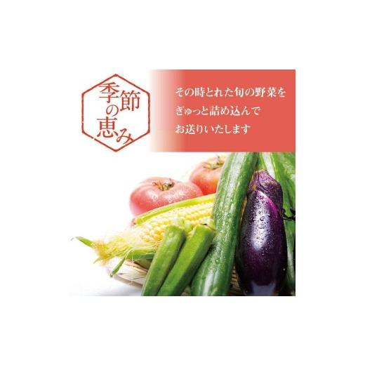 ふるさと納税 栃木県 栃木市 季節の恵み栃木市農産物セレクションBOX（１）