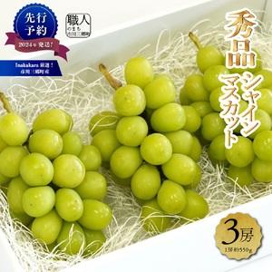 ふるさと納税 Inakakara厳選！市川三郷町産「秀品シャインマスカット」3房（1房約550g）[5839-1979] 山梨県市川三郷町