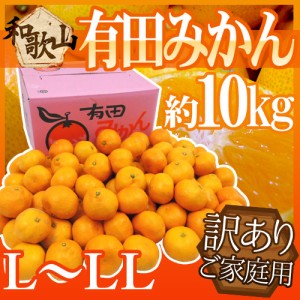 和歌山産 ”有田みかん” 訳あり L～LLサイズ 約10kg 産地箱 ありだみかん 送料無料