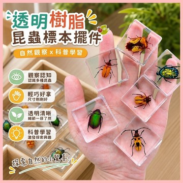 🔥臺灣熱賣⚡️透明樹脂昆蟲標本擺件幼兒園教學教具兒童科學科普玩具🎉