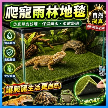 放風水族【爬寵雨林地毯】爬蟲墊材 仿真苔蘚草皮 保濕地墊 守宮蜥蜴陸龜蛇用 爬蟲箱造景 底材 生態缸雨林造景 雨林缸用品
