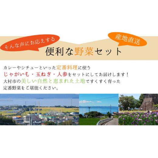 ふるさと納税 長崎県 大村市  じゃが玉人参セット 約5kg じゃがいも・玉ねぎ・人参の定番野菜 3品目の野菜詰め合わせ 夏季は7〜8品目 野菜…