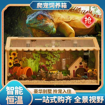 爬寵箱 寵物箱 飼養箱 龜爬箱 爬寵飼養箱鬃獅蜥變色龍角蛙守宮蜥蜴造景恒溫箱刺猬蛇爬蟲保溫箱