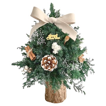 永生雪松聖誕小樹  20 x 30cm  米白緞帶