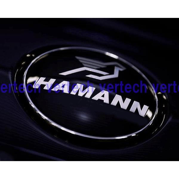 ハーマン　HAMANN ピンバッジ　2個