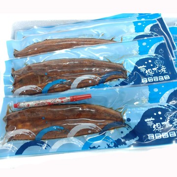 【華得水產】外銷日本蒲燒小鰻魚10片組(100g/片)