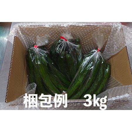 ふるさと納税 新鮮きゅうり3kg 埼玉県加須市