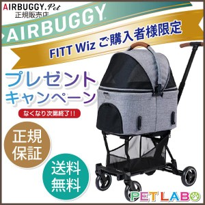 箱ありエアバギー　フィット　ウィズ AIRBUGGY Fitt wiz