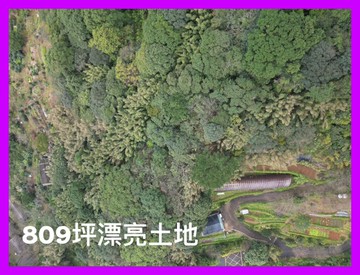 風動草芳鄰土地⭐️住商謝秀珍⭐️｜台北市士林區溪山段一小段