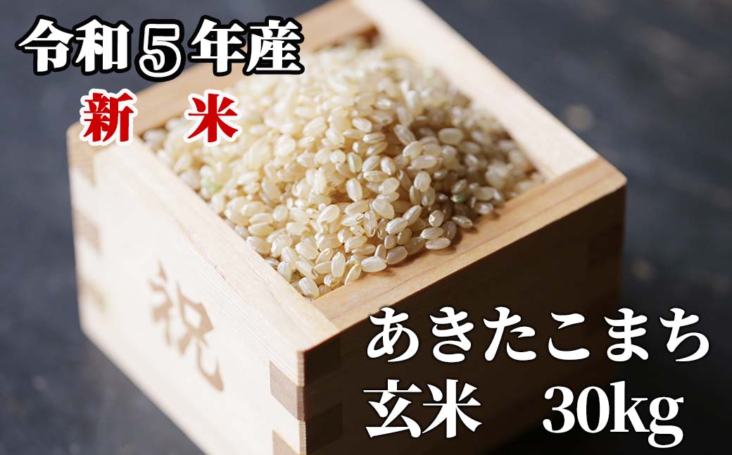 玄米 30kg 令和5年産 あきたこまち 岡山 「おおがや米」生産組合 G-bd-ACZA