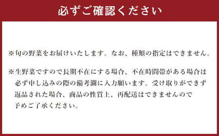 生産者応援 採れたて新鮮 旬のお野菜 詰め合わせセット