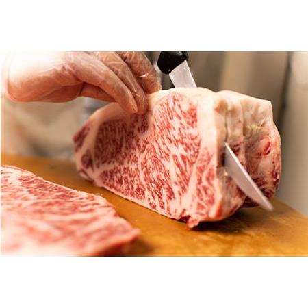 ふるさと納税 佐賀牛サーロインステーキ 250g×2枚(合計500g) 牛肉 ステーキ BBQ アウトドア 「2023年 令和5年」 佐賀県唐津市