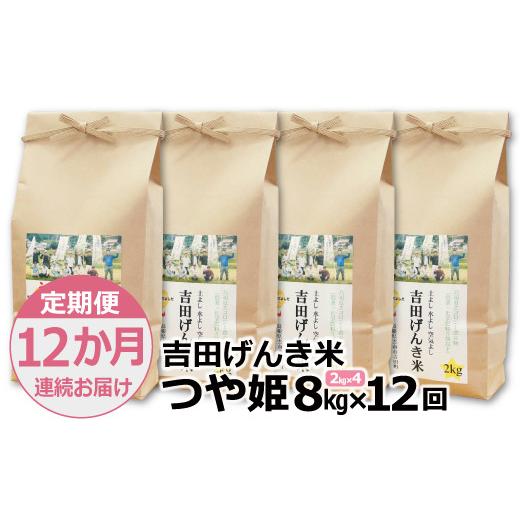 ふるさと納税 島根県 雲南市 「吉田げんき米」つや姫8kg（2kg×4）【島根県産 雲南市産 ブランド米 米 お米 白米 コメ こめ おこめ…