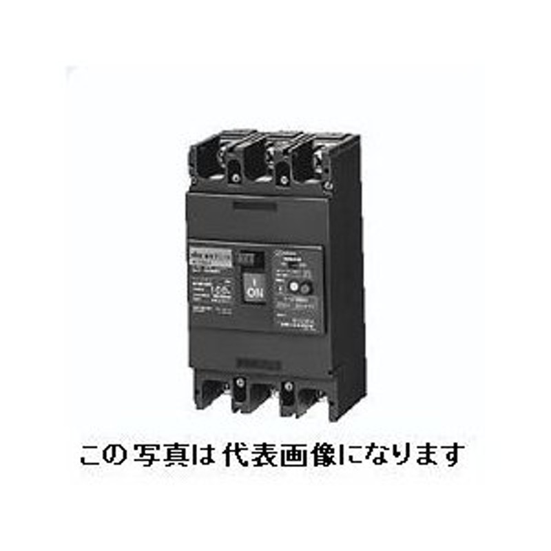 日東工業 GE102A 2P 60A F30 ELB 定格感度電流30mA 漏電ブレーカ・経済