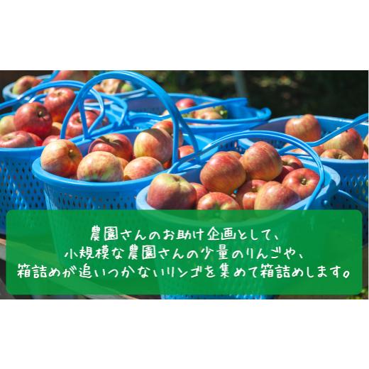 ふるさと納税 長野県 飯綱町   りんご サンふじ ５Kg  訳あり 〜 家庭用 2023年 年内配送  ふじ  リンゴ 林…