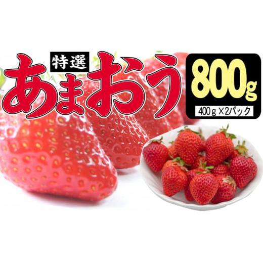 ふるさと納税 福岡県 朝倉市 いちご 2023年12月より発送 特選あまおう 800g※配送不可：離島