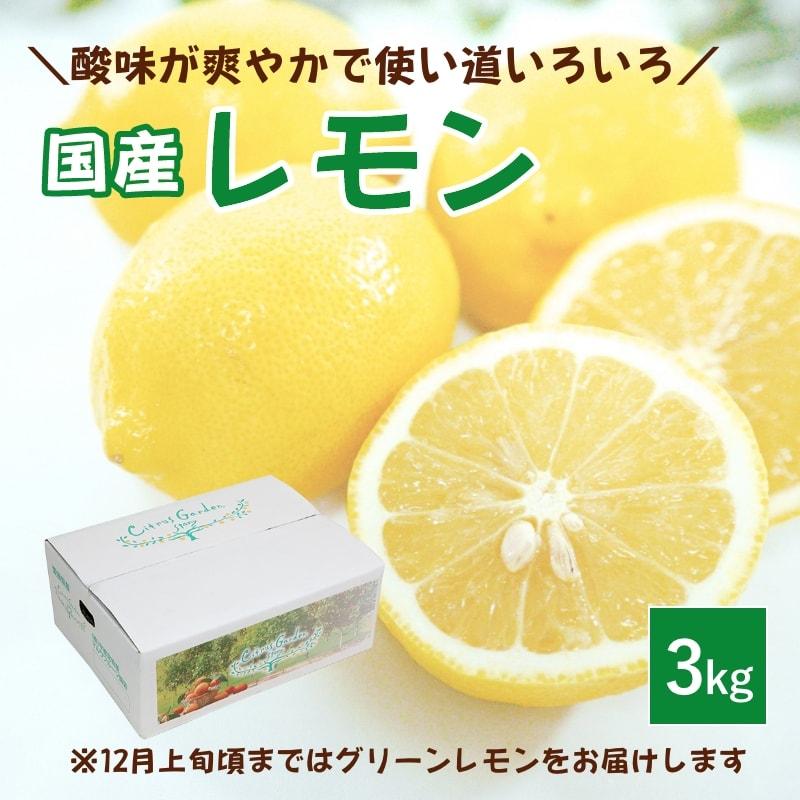 レモン 3kg 国産 愛媛産 送料無料 産地直送 柑橘 フルーツ 果物 防腐剤 防カビ剤 不使用 ノンワックス