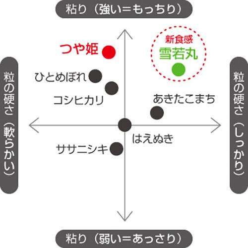 令和4年産 山形県産 米 雪若丸 5kg×2 玄米 お米 産直 産地直送 お土産 観光地応援 ギフト プレゼント コクブン直送