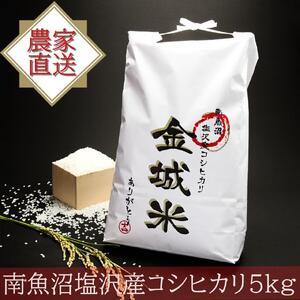 ふるさと納税 [定期便]南魚沼塩沢産コシヒカリ「金城米」 ５ｋｇ×６回（６ヵ月） 新潟県南魚沼市