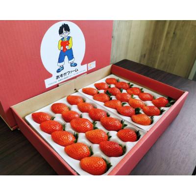 ふるさと納税 前橋市 群馬県いちご品評会入賞やよいひめ約400g×6パック　こだわりの栽培で極めた味、コク、香り、甘さ