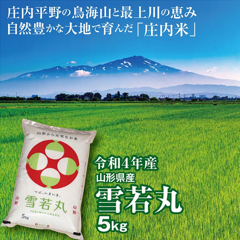 令和４年産 雪若丸５kg  山形県の米どころ庄内平野で育った庄内米 送料無料