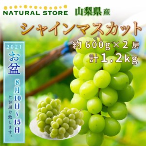 [最短順次発送]  シャインマスカット 約600g×2房 計1.2kg マスカット 山梨県産 夏ギフト 暑中見舞い 夏ギフト お中元 御中元