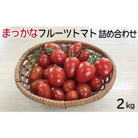 ふるさと納税 まっかなフルーツトマト詰め合わせ　2kg 島根県安来市