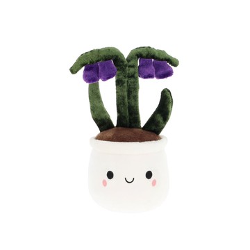 Keel Flower Bobballs Bluebell 藍鈴花盆栽12cm