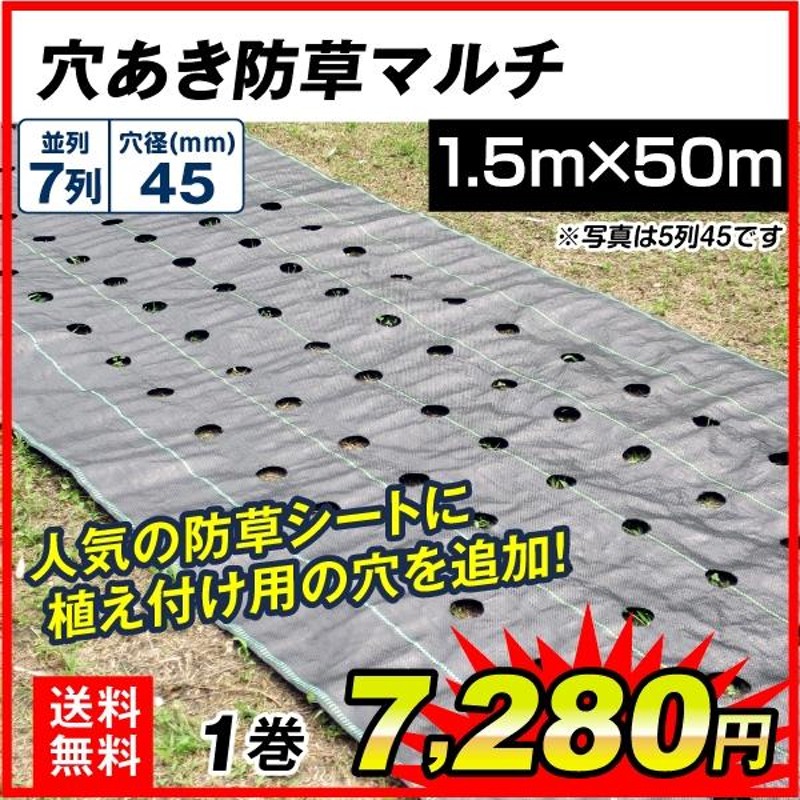 シンセイ 濃グリーン 防草シート 1m×100m - 9