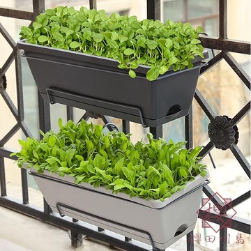 怎樣都可愛療癒盆栽迷你植物燈野花薄荷 含種子包需自行播種 Pinkoi 設計購物網站 Line購物