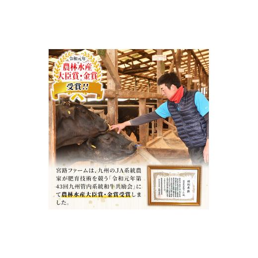 ふるさと納税 鹿児島県 長島町 鹿児島県長島町産黒毛和牛 焼肉2種セット(計400g・200g×2P)f-miyaji-556