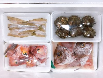 開けたらすぐ食べられる日本海の鮮魚詰合せ（2～3人前）(魚介 下処理済み 詰め合わせ セット)