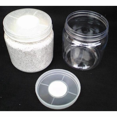 トレハロース入り 菌糸クリアボトルSRD-500ml(クヌギ100%・二 ... トレハロース入り 菌糸クリアボトルSRD-500ml(クヌギ100%・二 ...