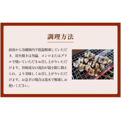 ふるさと納税 石巻市 宮城県産真いか軟骨串(30本入り)・バーベキューBBQ