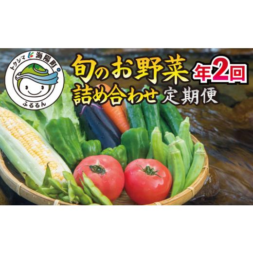 ふるさと納税 徳島県 海陽町 阿波の国海陽町 旬のお野菜詰め合わせセット１０‐１３品×２回 野菜 定期便 野菜定期便 年2回 徳島県 海陽町産 …