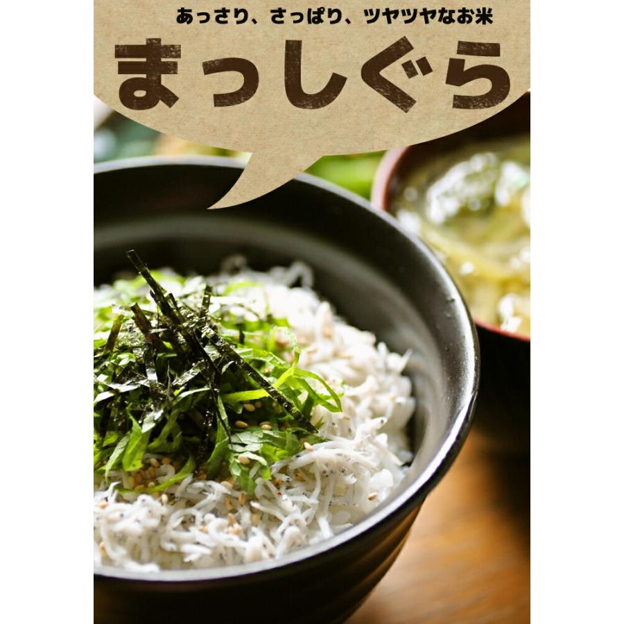 新米 米 5kg 青森県産 5年産  まっしぐら 白米5kg  人気 安い