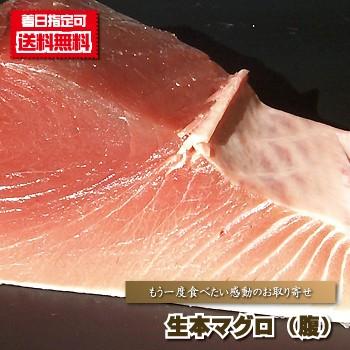 マグロ 刺身用 送料無料 生本マグロ腹 1ｋｇ前後 まぐろ 鮪 大とろ 大トロ