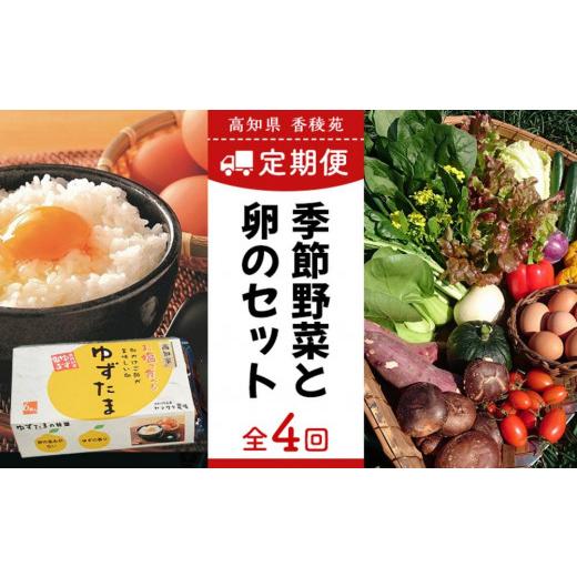 ふるさと納税 高知県 南国市 高知県産　南国土佐の季節野菜と卵（ゆずたま）の詰め合わせセット【新鮮野…