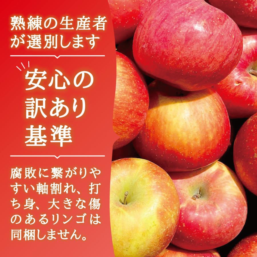 訳あり りんご サンふじ 宮城県産 ご自宅用 10kg（22〜36玉）｜ 国産 宮城 林檎