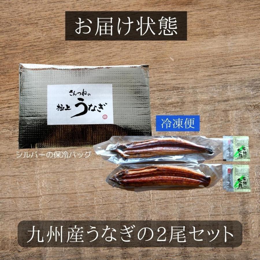 国産うなぎ蒲焼　2尾(約125ｇ×2）　 うなぎ 鰻 ウナギ 蒲焼 うな丼