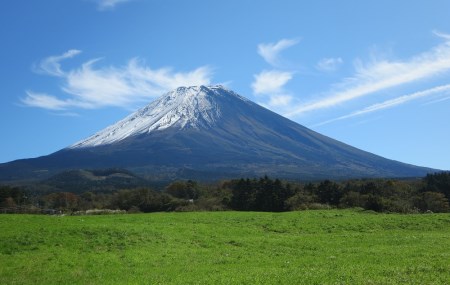 富士山プレミアム牛乳1リットルパック（4本セット×1回）