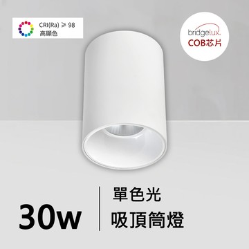 全光譜30W吸頂筒燈｜QC-30251W-普瑞芯片