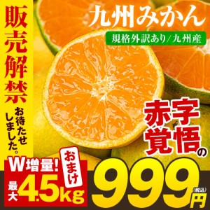 みかん 訳あり 送料無料 2セット購入で1セットおまけ増量 1セット1.5kg入 お取り寄せグルメ 柑橘 フルーツ 産直 九州産 7-14営業日以内に