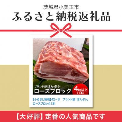 ふるさと納税 小美玉市 ブランド豚「ばんぶぅ」ロースブロック1本