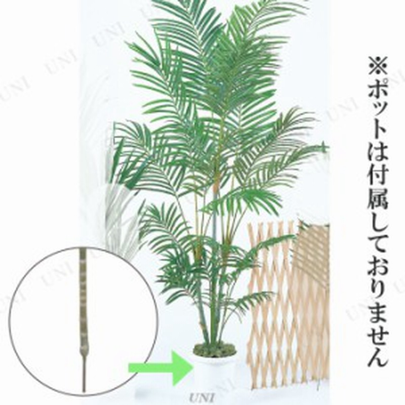 取寄品 アレカヤシ 0cm A 鉢別売り 人工観葉植物 ヤシの木 椰子 フェイクグリーン インテリアグリーン 光触媒 消臭 抗菌 通販 Lineポイント最大1 0 Get Lineショッピング