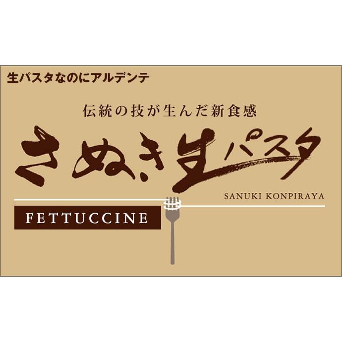 訳あり 本場讃岐うどん製法 さぬき生パスタ（フェットチーネ）900g 送料無料 ポスト投函便での配送(代引 後払 着日指定不可)